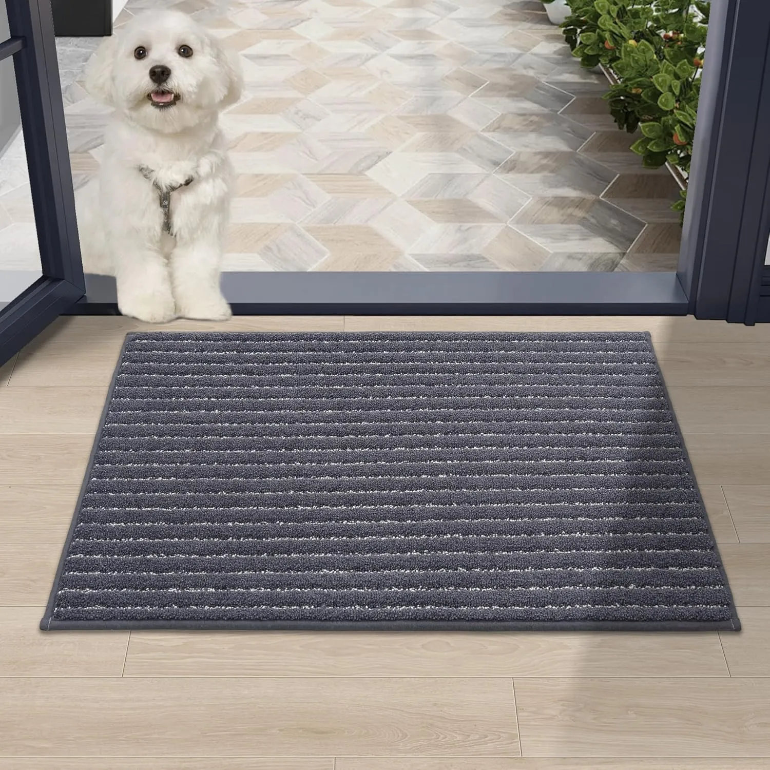 Dark Grey Indoor Door Mat 20"x32" - Absorbent, Anti-Slip Rug for Wet Shoes & Paws