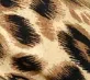 Leopard Knot Headband