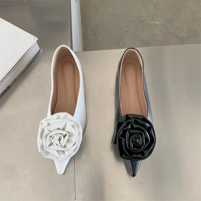 Women's Shoes With Pointed Toe