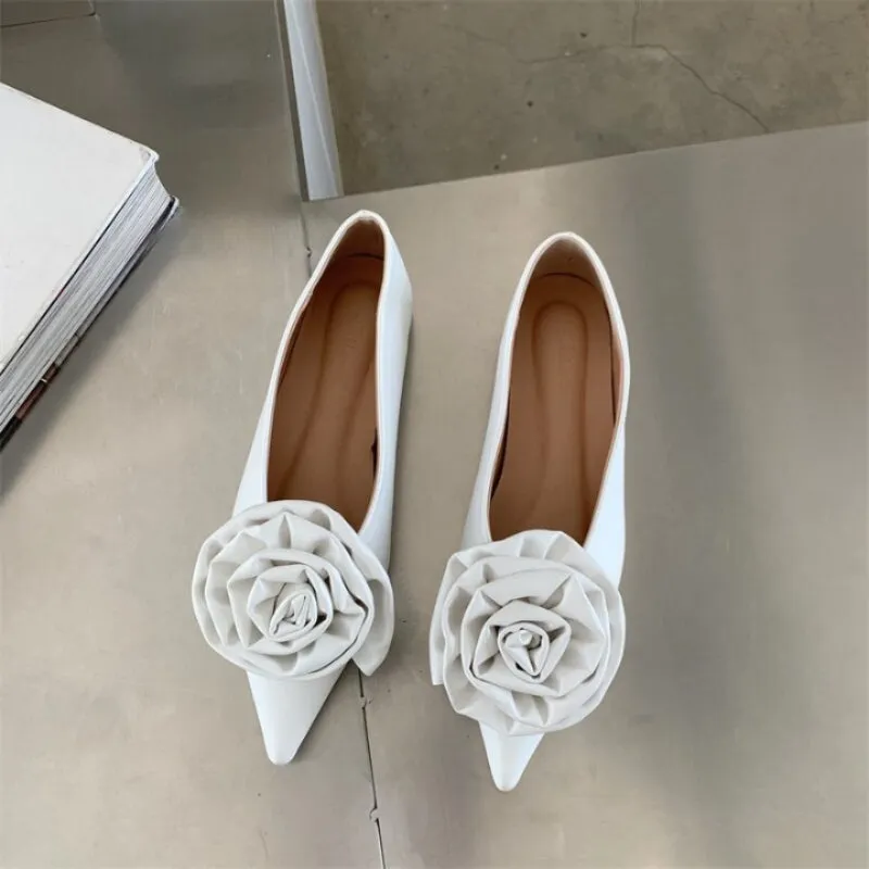 Women's Shoes With Pointed Toe