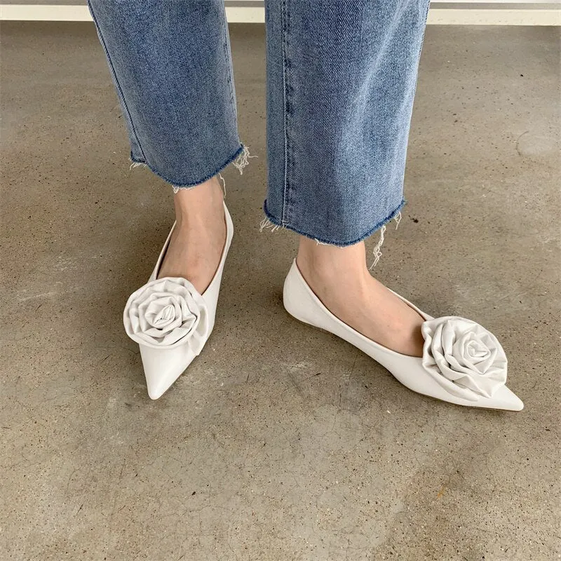 Women's Shoes With Pointed Toe
